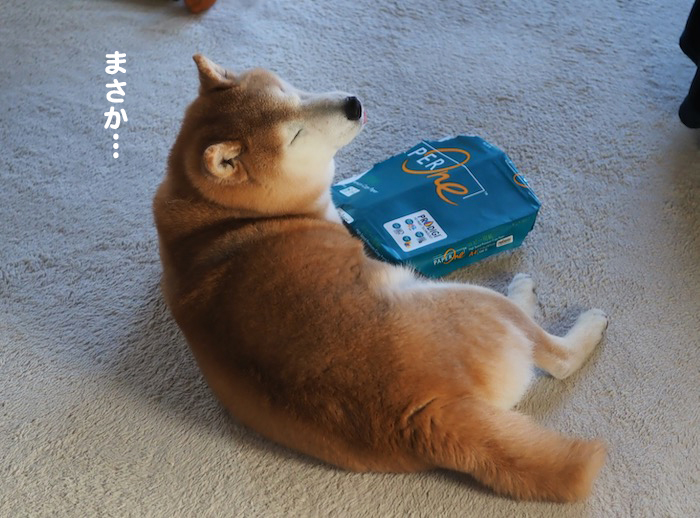 28日夕ブログ９