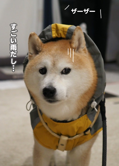 3日夕ブログ４