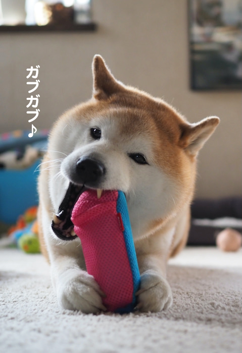 25日夜ブログ５