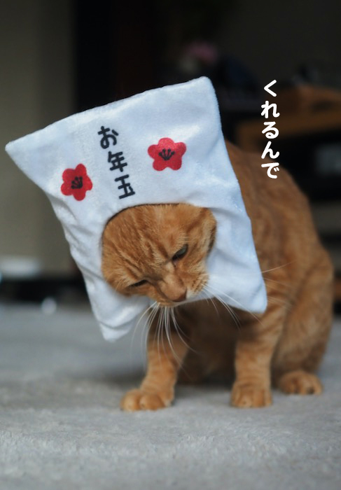 5日ブログ４