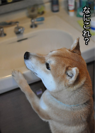 7日ブログ６.jpg