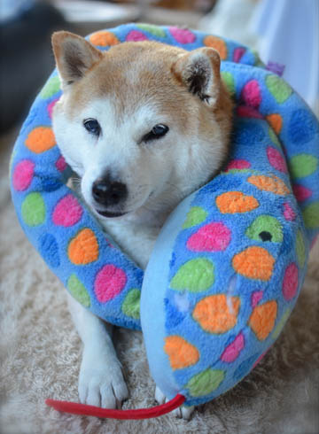 27日ブログ8.jpg