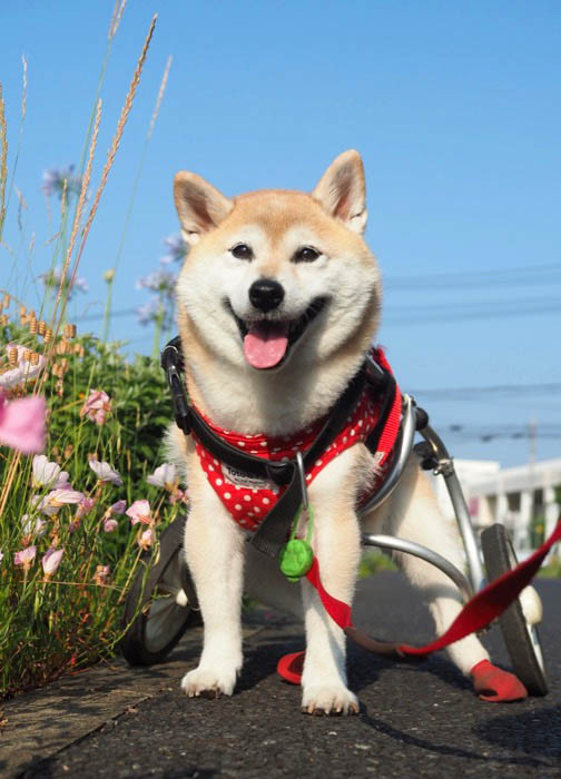 15日ブログ３
