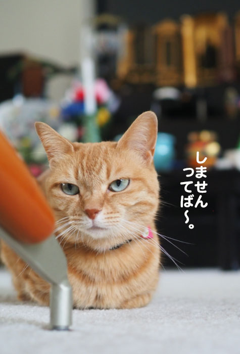 14日夕ブログ９
