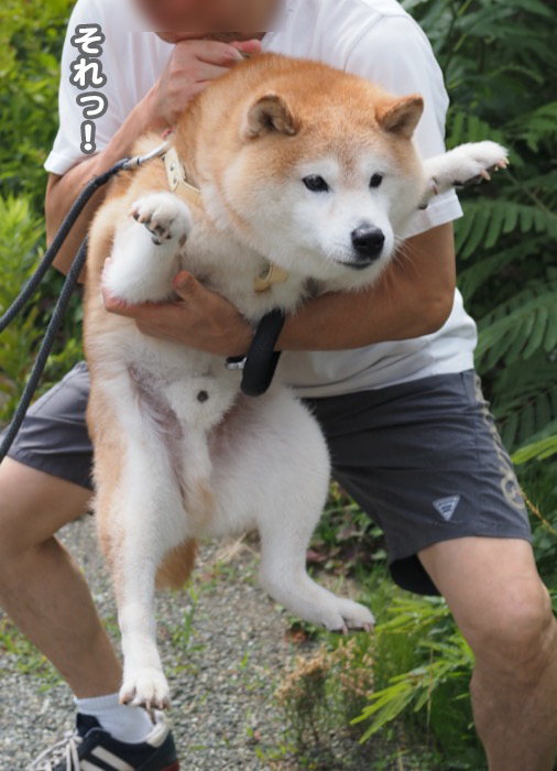 9日ブログ１
