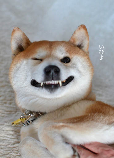 14日ブログ６.jpg