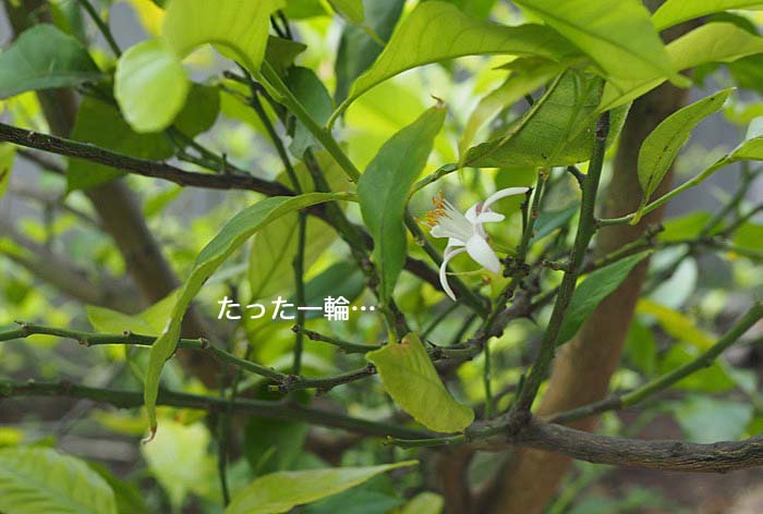 26日ブログ３