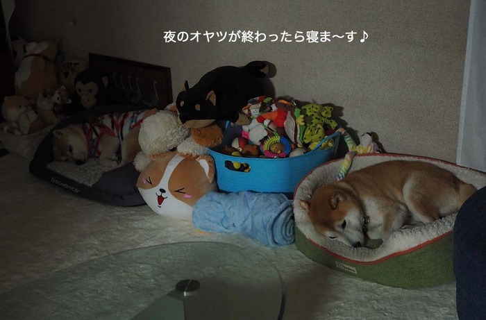 19日ブログ６