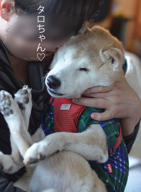 17日ブログ11