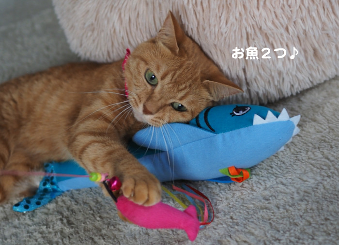 28日朝ブログ２