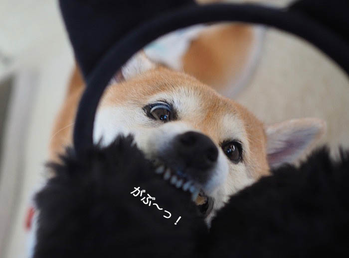15日夜ブログ３