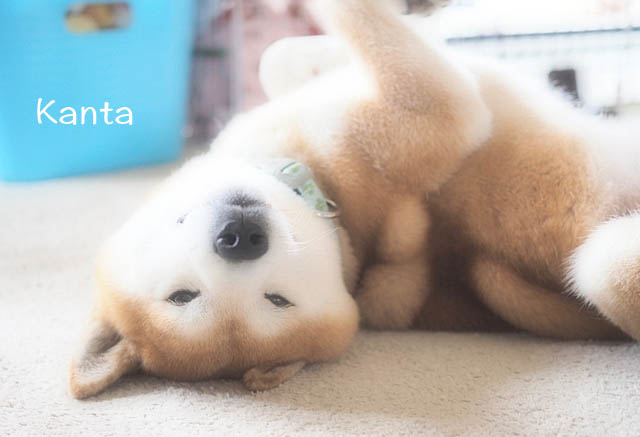 6日ブログ5