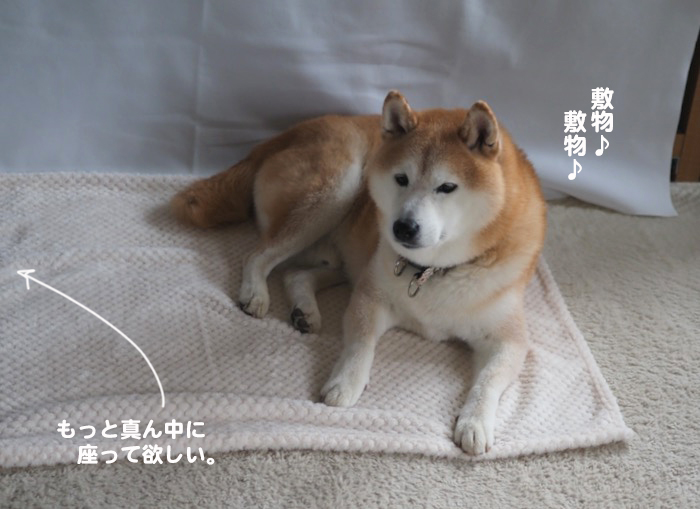 13日ブログ３