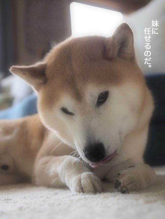 20日夕ブログ６