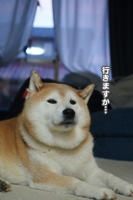 27日夕ブログ３