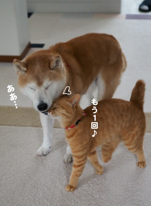 26日夕ブログ４