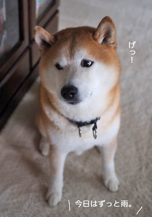 4日午前ブログ３