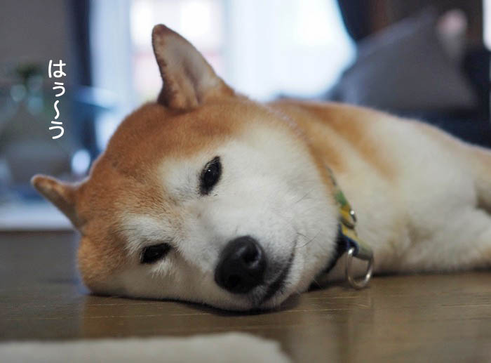 5日夜ブログ４
