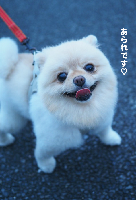 12日ブログ３