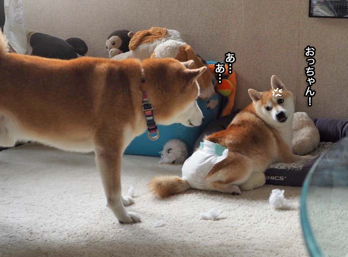 4日夜ブログ６