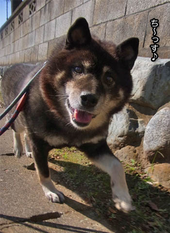 26日ブログ3.jpg