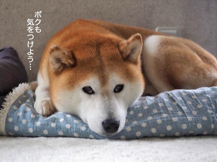 13日夜ブログ５