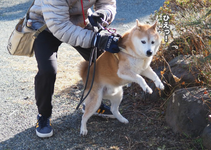 10日夕ブログ５