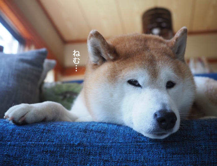 20日ブログ２