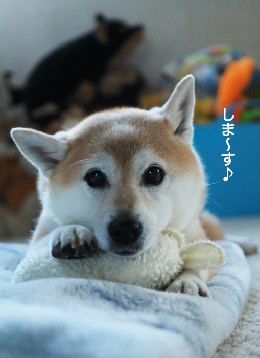 12日ブログ６