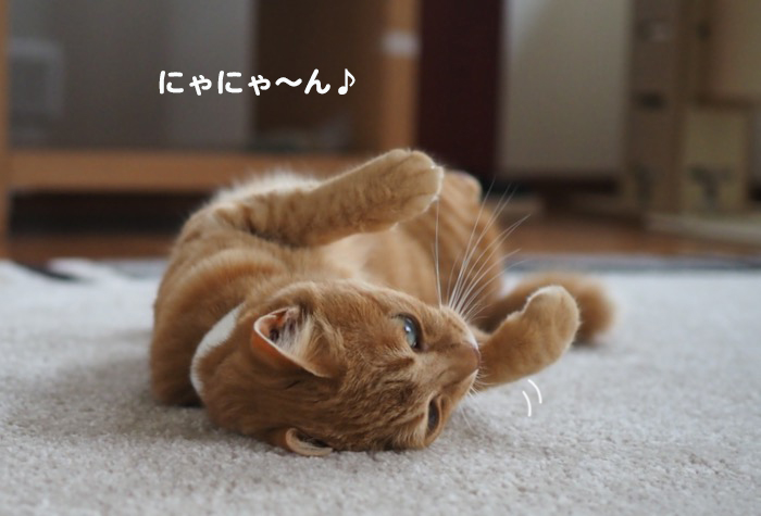 19日夕ブログ３