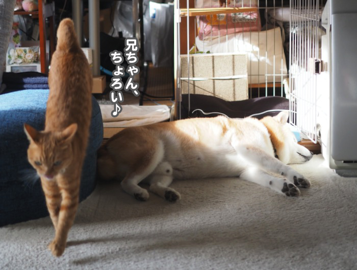 18日ブログ１１