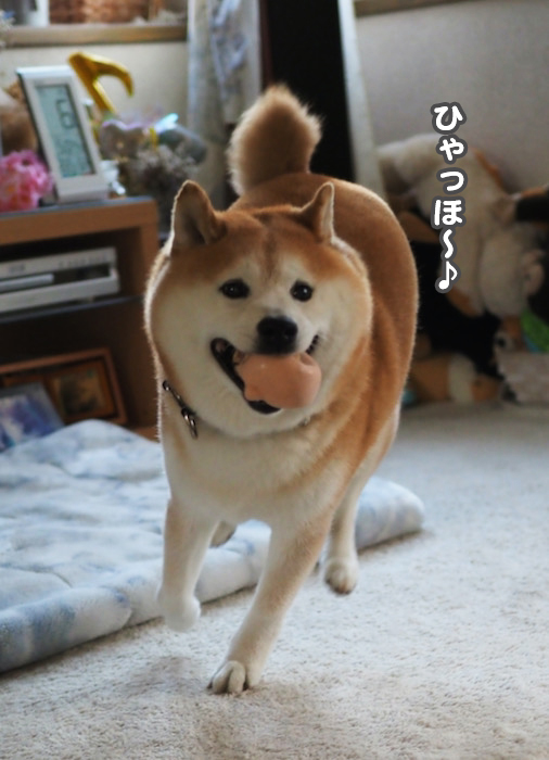 8日夜ブログ４