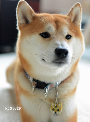 21日ブログ3.jpg