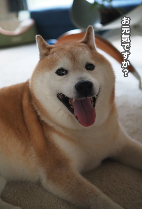 23日ブログ２