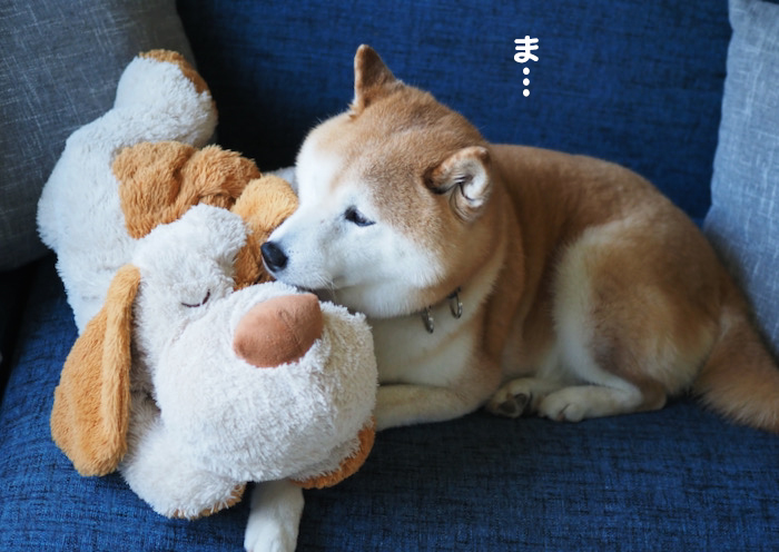 18日夕ブログ６