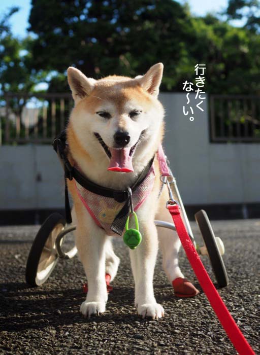 1日ブログ３
