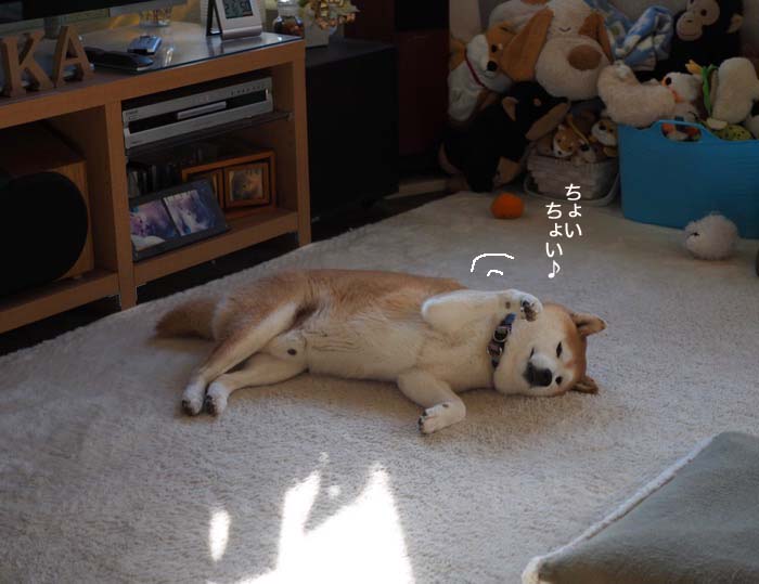17日ブログ３