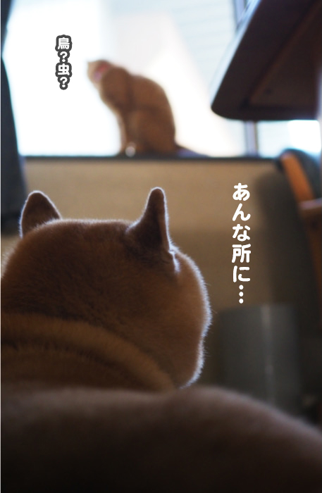 15日ブログ３