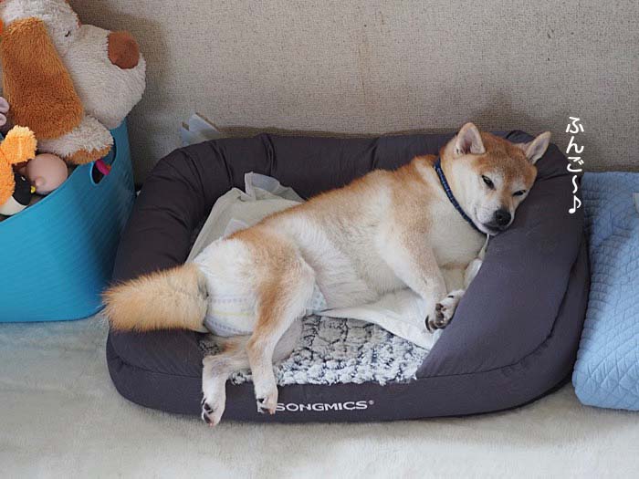7日ブログ２