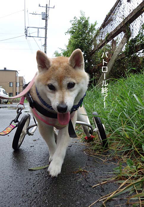 9日朝ブログ７