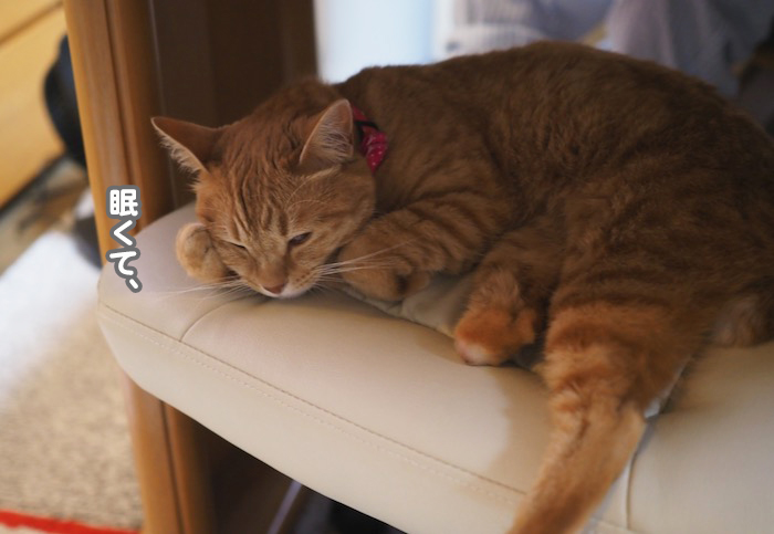 7日ブログ1