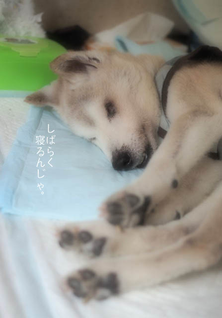 23日ブログ7