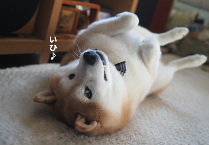 6日夕ブログ６