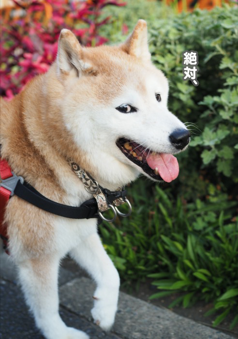 20日ブログ３