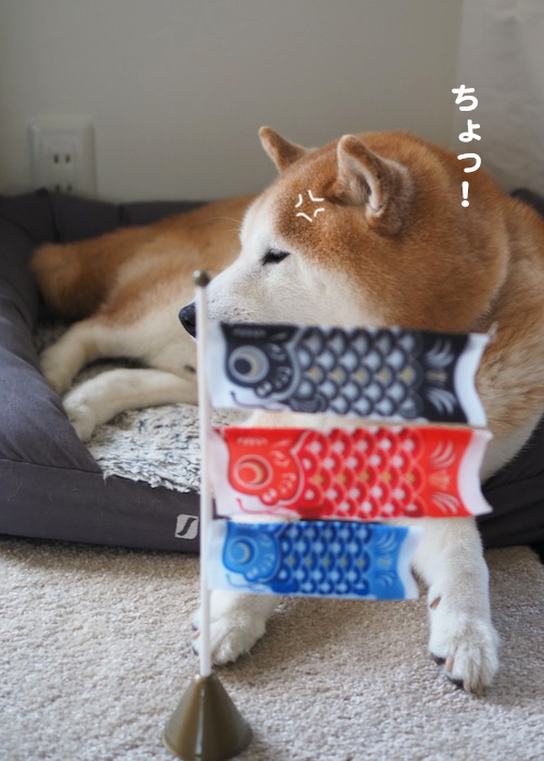 5日ブログ２