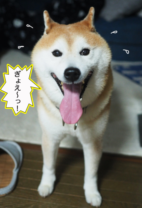 1日夜ブログ３