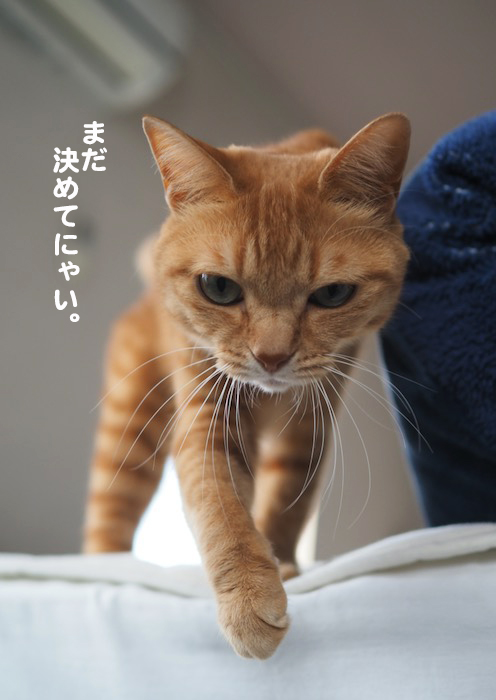 24日ブログ３