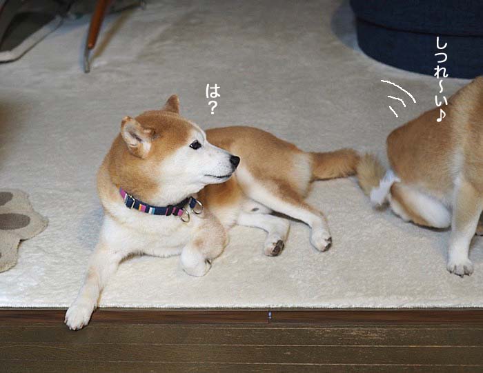 23日ブログ９