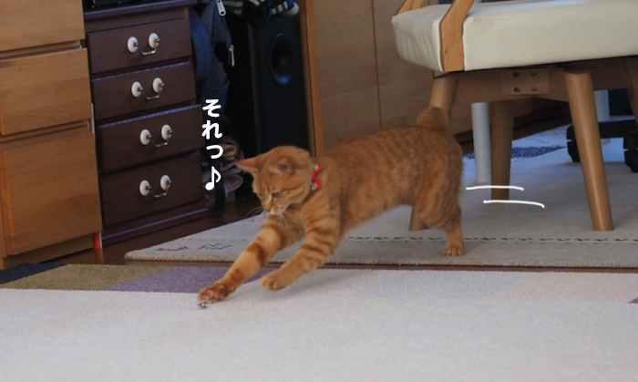 3日ブログ５