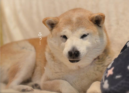 21日ブログ8.jpg